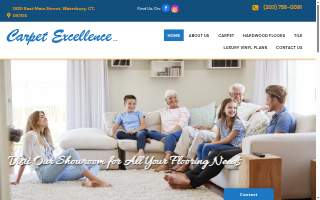 Carpet Excellence website