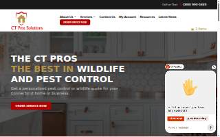 CT Security Locksmiths website