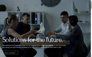 Manus Consulting, LLC. website