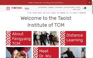 Wu Healing Center website