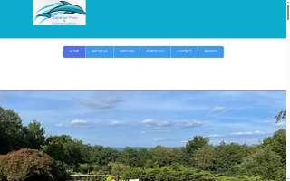Superior Pool & Construction website
