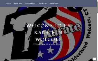 T's Karate website