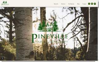Smile Beautiful Dental website