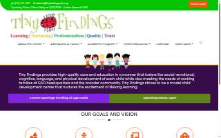 Tiny Findings website