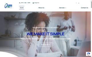 Goldberg Tax Services website