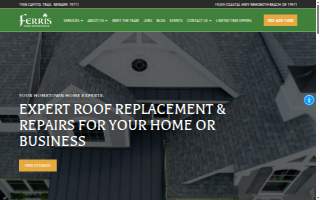 Ferris Home Improvements website