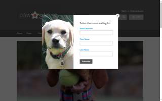Paw Stars website