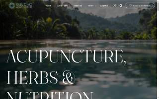 Sun Cho Acupuncture LLC website