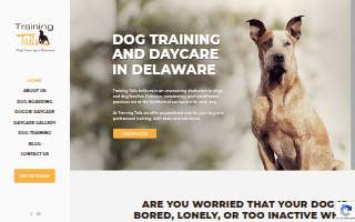 Training Tails of Smyrna website