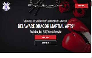 Delaware Dragon Martial Arts website