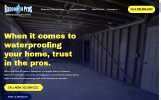 Basement Pros Waterproofing website