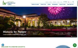 Brandywine Valley Psychiatry website