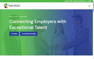 New Level Staffing website