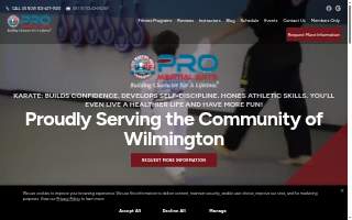 PRO Martial Arts Wilmington website