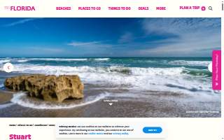 Canine Technology Institute - Miami Dog Boarding & Training School website