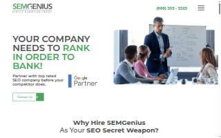SEMGENIUS | Digital Marketing Agency website