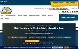 Larson's Steam Clean website