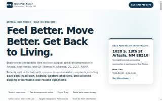 Brandon Back Pain Relief Chiropractic website