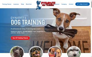 Dynamite Dog Training website