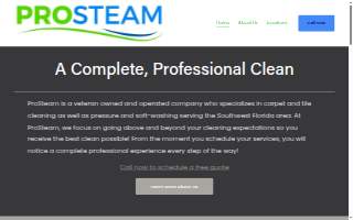 ProSteam SWFL website