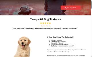 All Dogs Unleashed Dog Training Tampa website