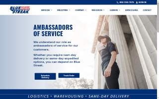 Blue Streak Couriers of Paradise website