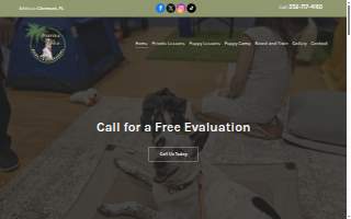 Buena Vista Dog Training website