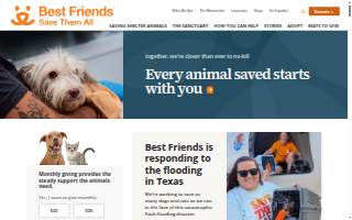 One Dog at a Time website