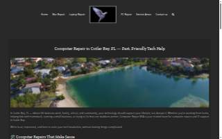 Computer Repair N Service website