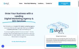 Skyfi Marketing Dania Beach website