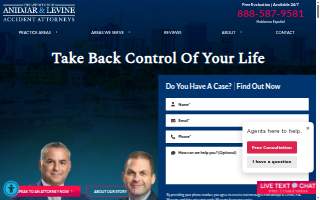 The Law Offices of Anidjar & Levine website