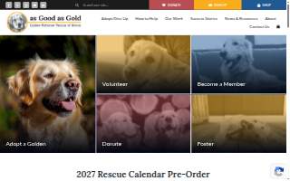 Golden Age Home Care Corp website