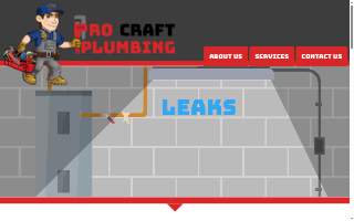 Pro Craft Plumbing llc website