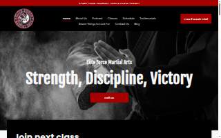 Elite Force Martial Arts website