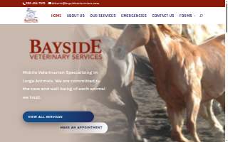 Bayside Veterinary Services website