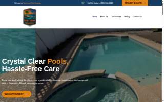Next Level Pool Cleaning and Supplies website