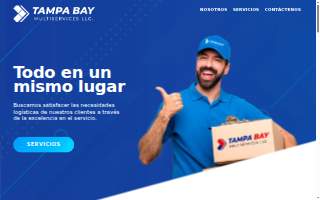 Tampa Bay Multiservices LLC. of Carrollwood website