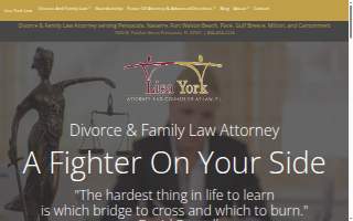 Lisa York Law website