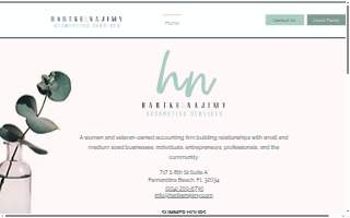 Hartke & Najimy Accounting Services, LLC website