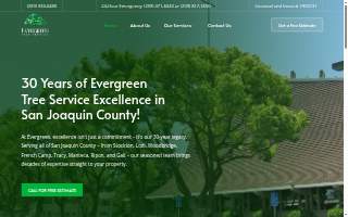 Evergreen Tree Service website