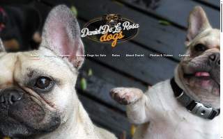 Daniel De La Rosa - Dogs website