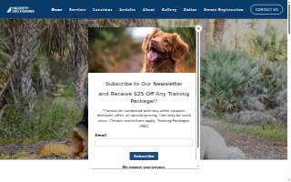 Haggerty Dog Training of Florida website