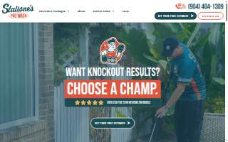Stallone’s Pro Wash website