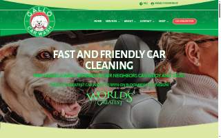 Car Wash website