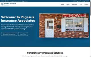 Pegasus Insurance Associates Inc website