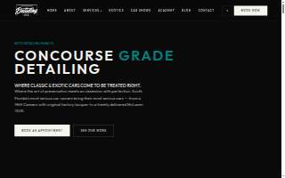 Detailing Vice website