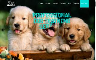 iDog Academy website
