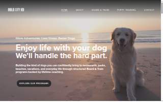 Bold City K9 website