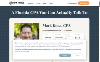 Dark Horse CPAs of Jacksonville website