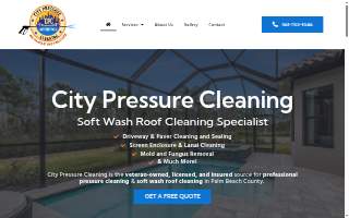 City Pressure Cleaning, Soft Wash Roof Cleaning website